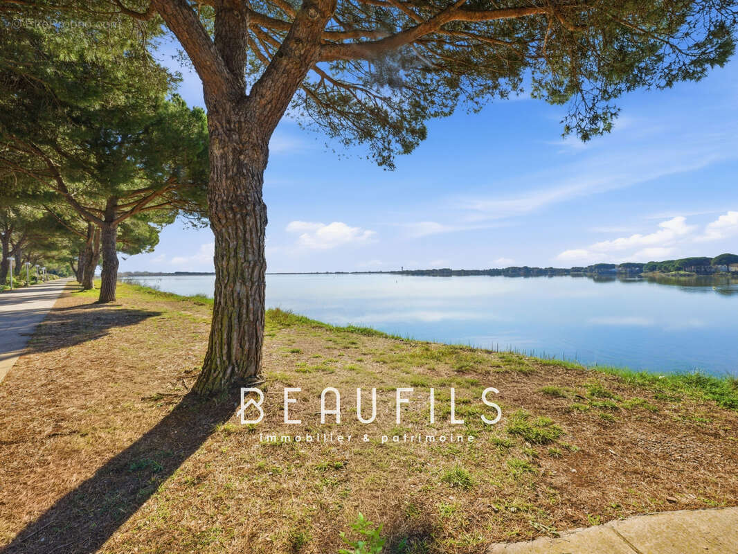 Appartement à LA GRANDE-MOTTE