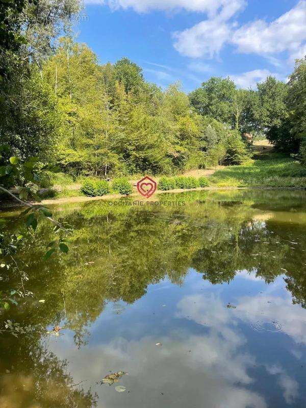 Magnifique ferme avec piscine, dépendances, lac et 6,2 hectares de terrain proche Miélan Gers - photo 2