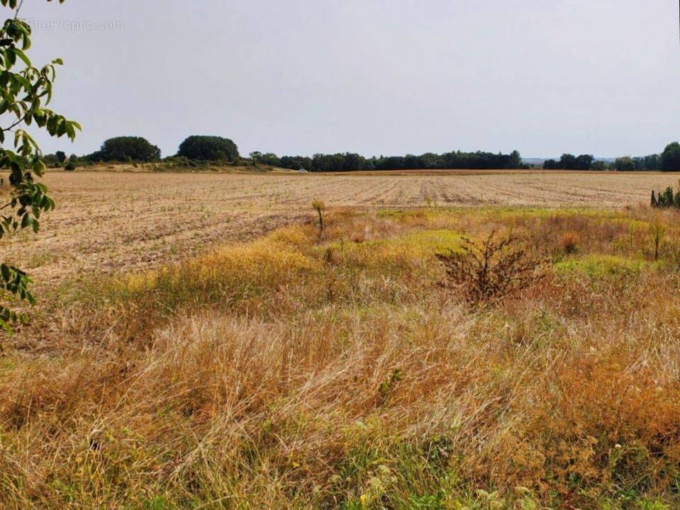 Terrain à MESCHERS-SUR-GIRONDE