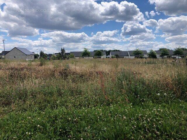 Terrain à PRUNIERS-EN-SOLOGNE