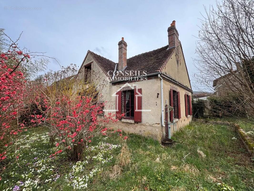 Maison à VILLENEUVE-SUR-YONNE