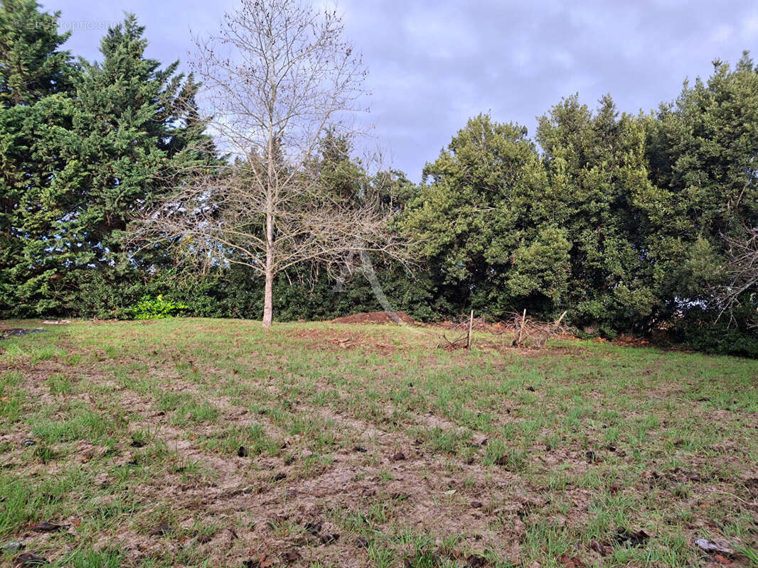 Maison à L&#039;ISLE-JOURDAIN