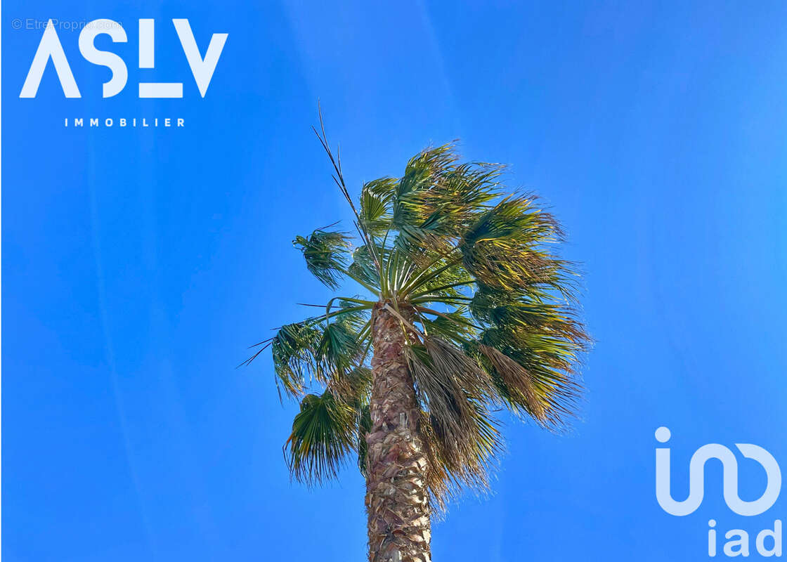 Photo 8 - Appartement à SIX-FOURS-LES-PLAGES