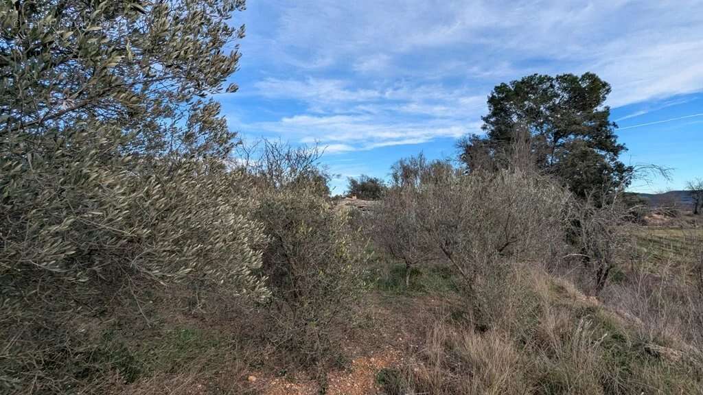 Terrain à MONTFORT-SUR-ARGENS