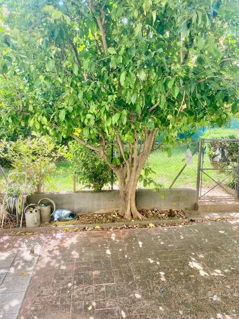 Appartement à AMELIE-LES-BAINS-PALALDA