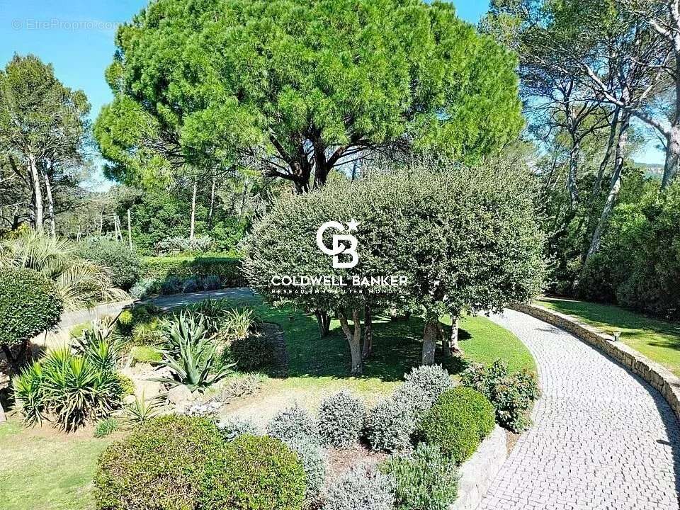 Maison à PUGET-SUR-ARGENS