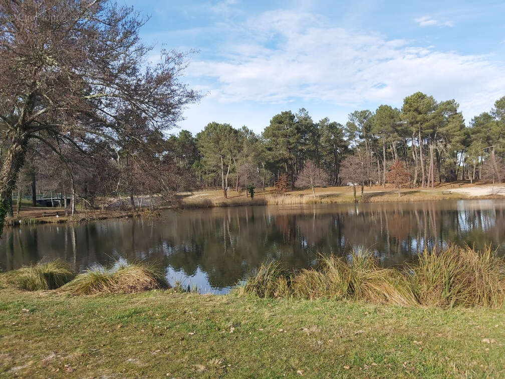 Maison à CASTELJALOUX