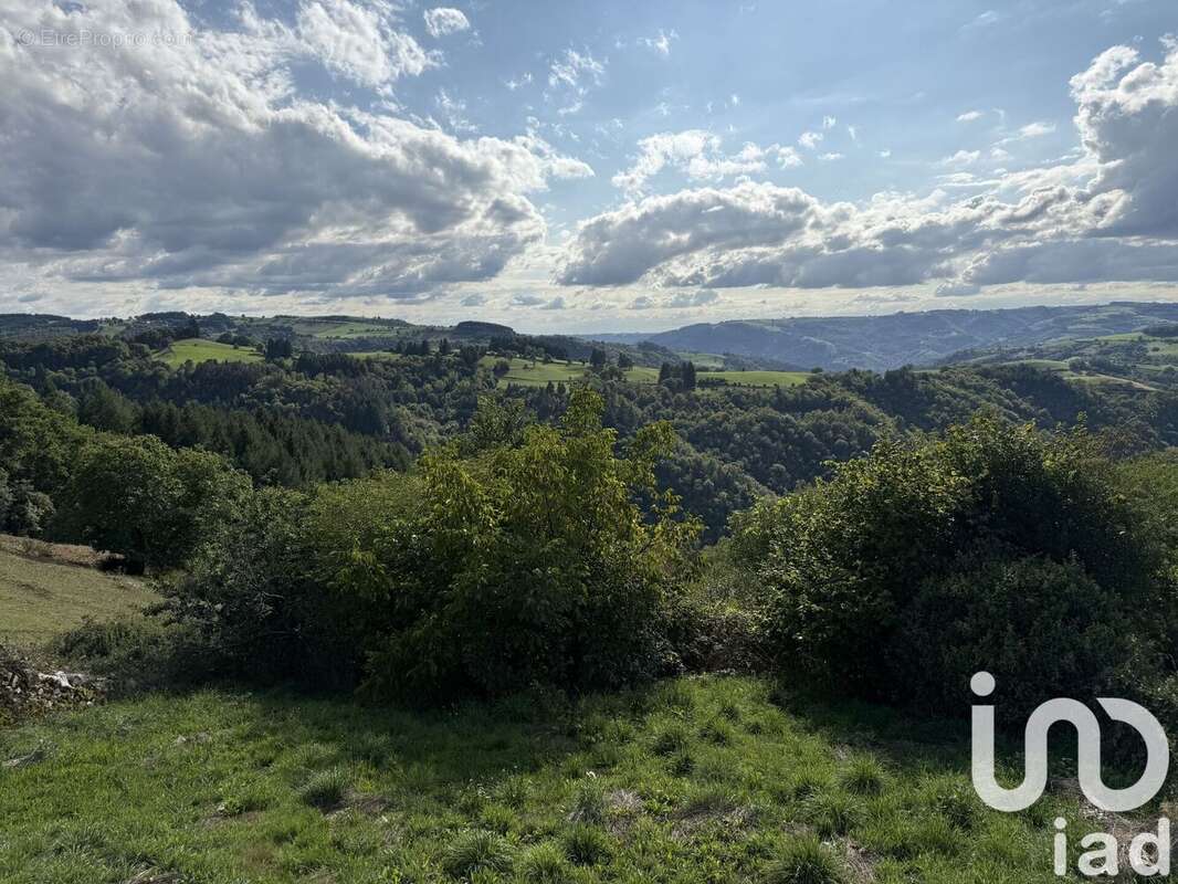 Photo 2 - Maison à SAINT-AMANS-DES-COTS