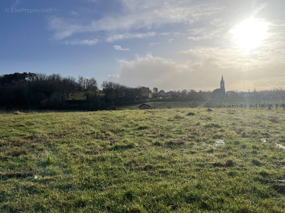 Terrain à SAINT-SEURIN-DE-BOURG
