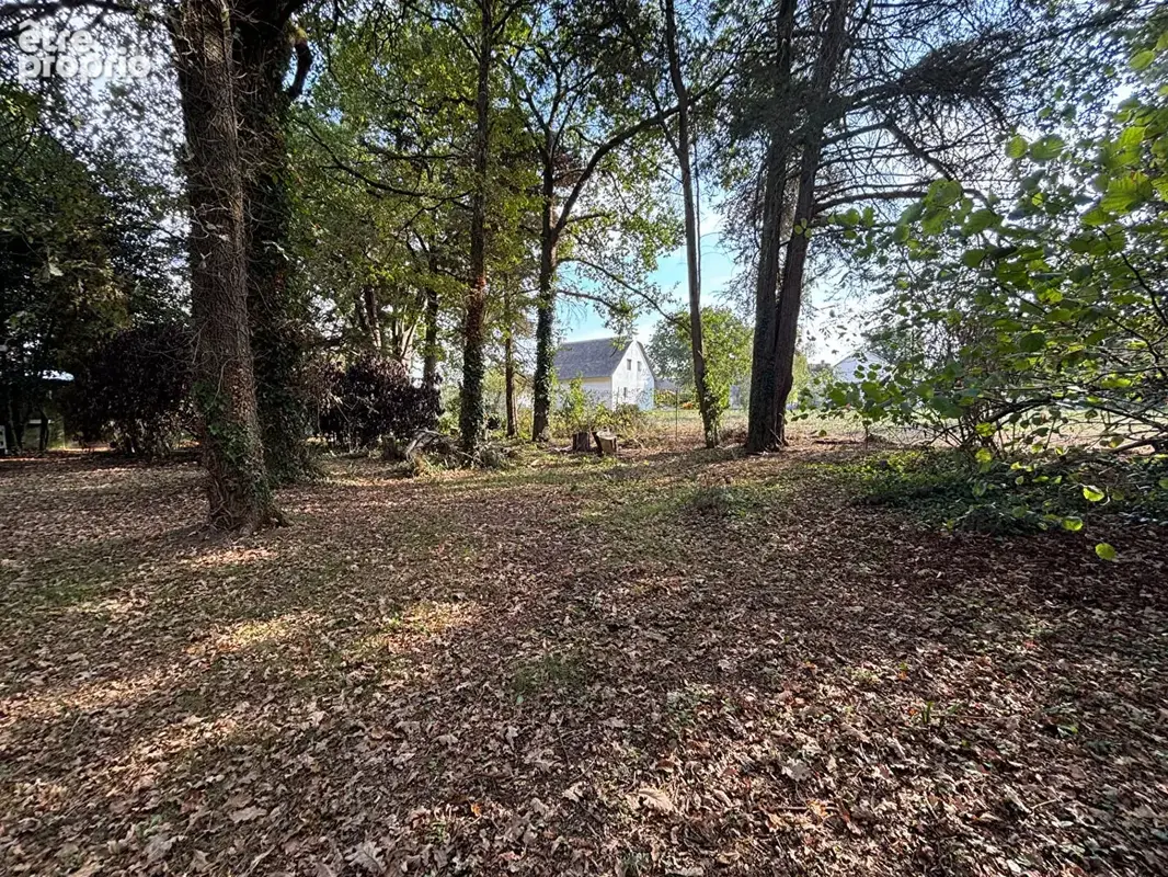 Terrain Saint Lyphard 762 m2 - photo 2