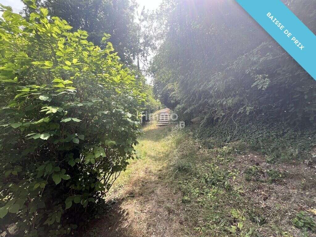 Appartement à LE PERREUX-SUR-MARNE