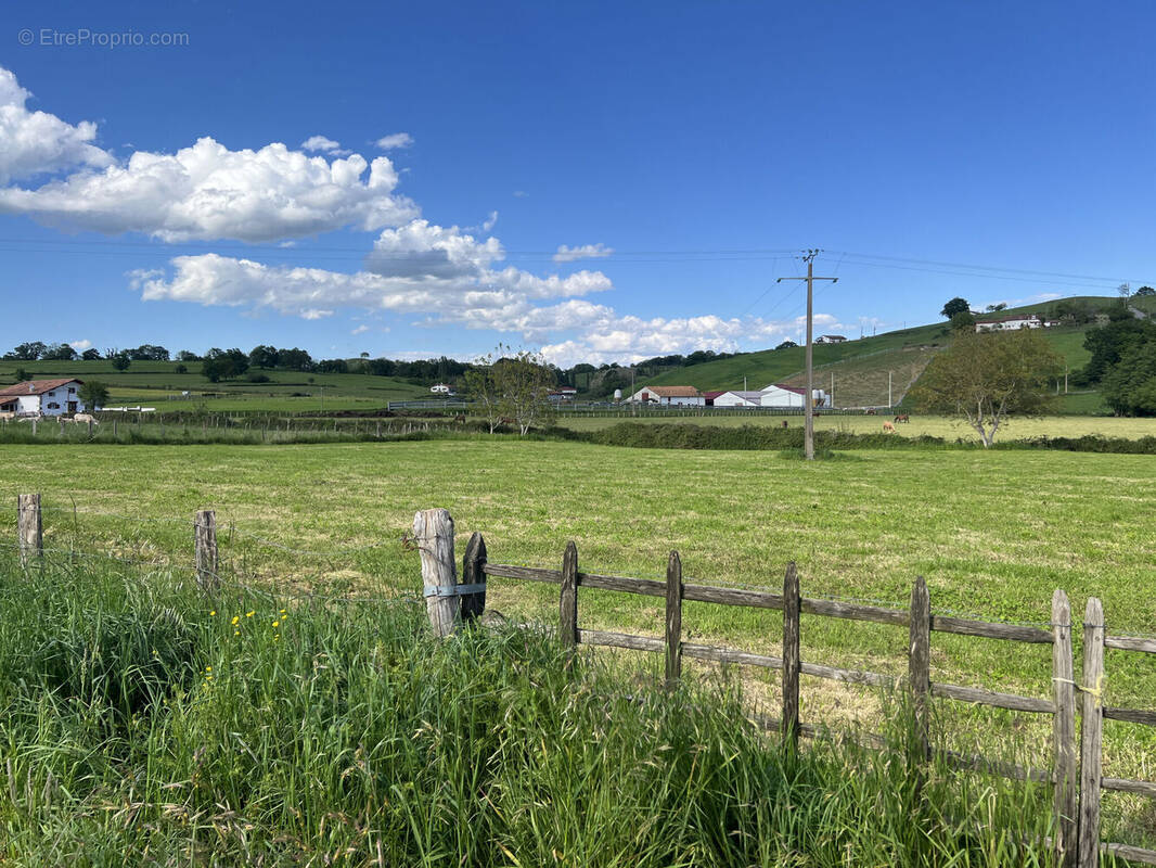 Photo 1 - Terrain à IHOLDY