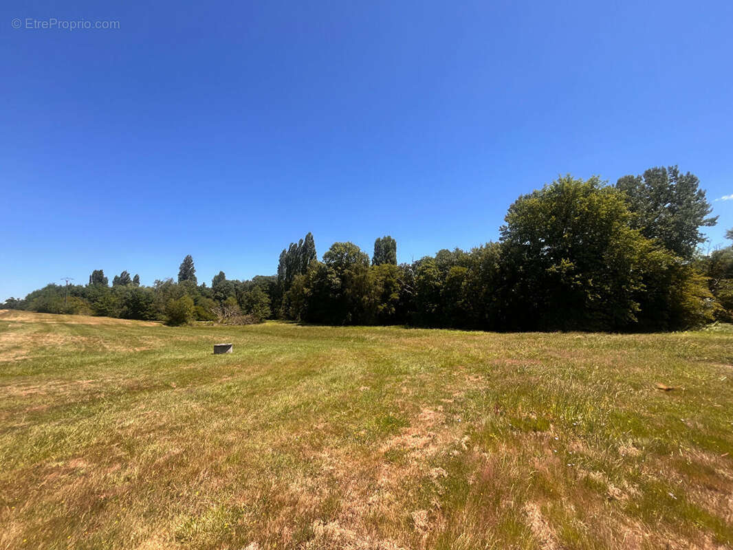 Propriété à vendre à Pellegrue - photo 2