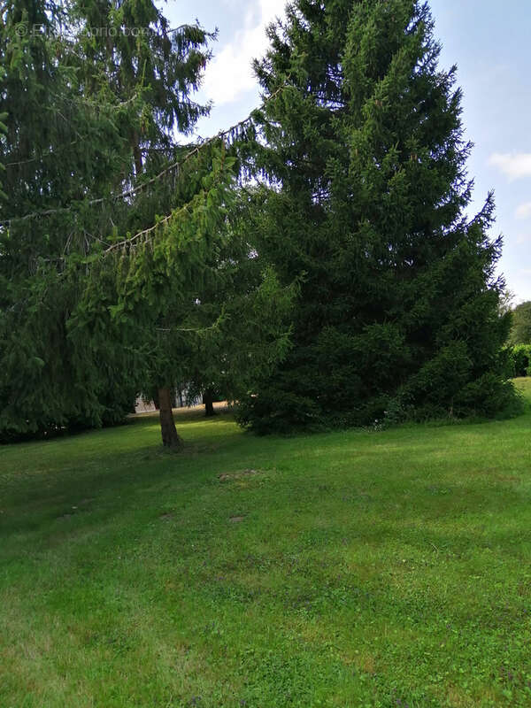 Longère de caractère dans  l'indre - photo 4