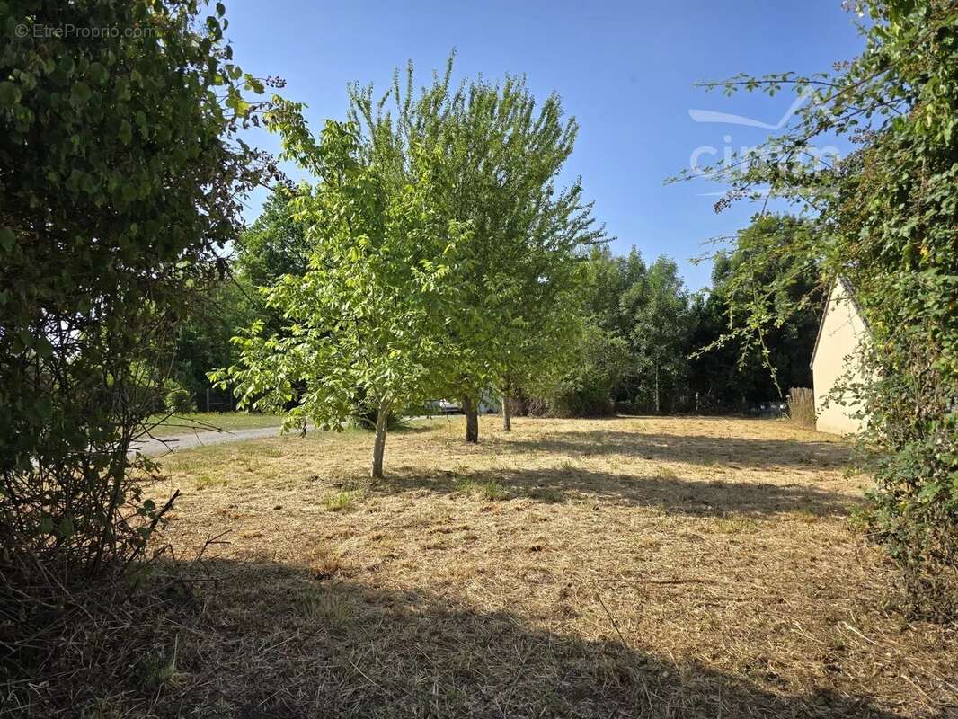 Terrain constructible de 759m² - photo 3