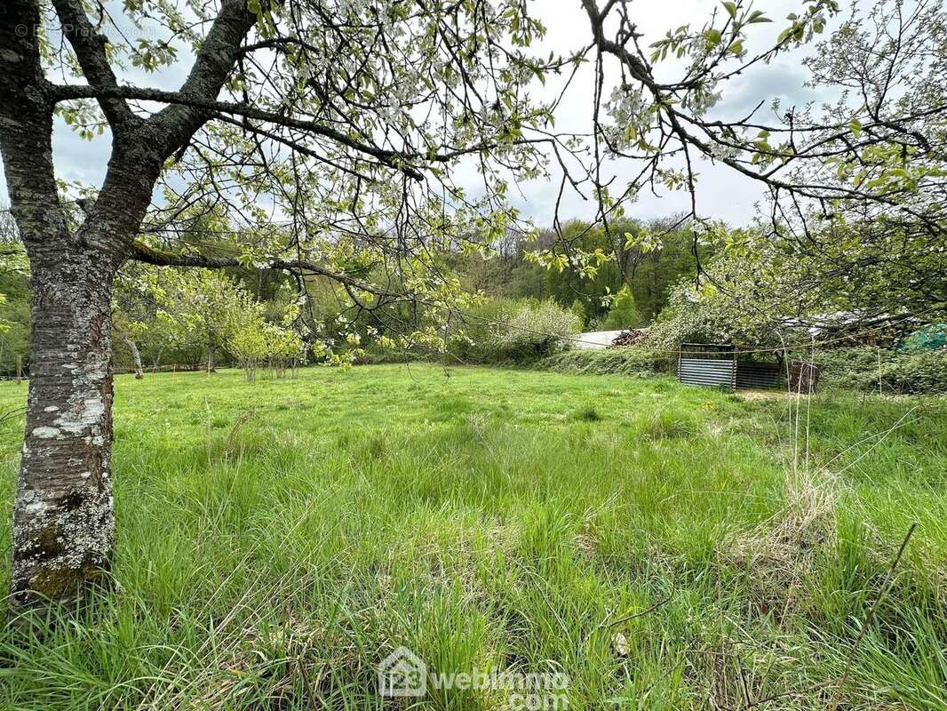 Vous serez séduits par le cadre et ... - Terrain à MAUREGNY-EN-HAYE