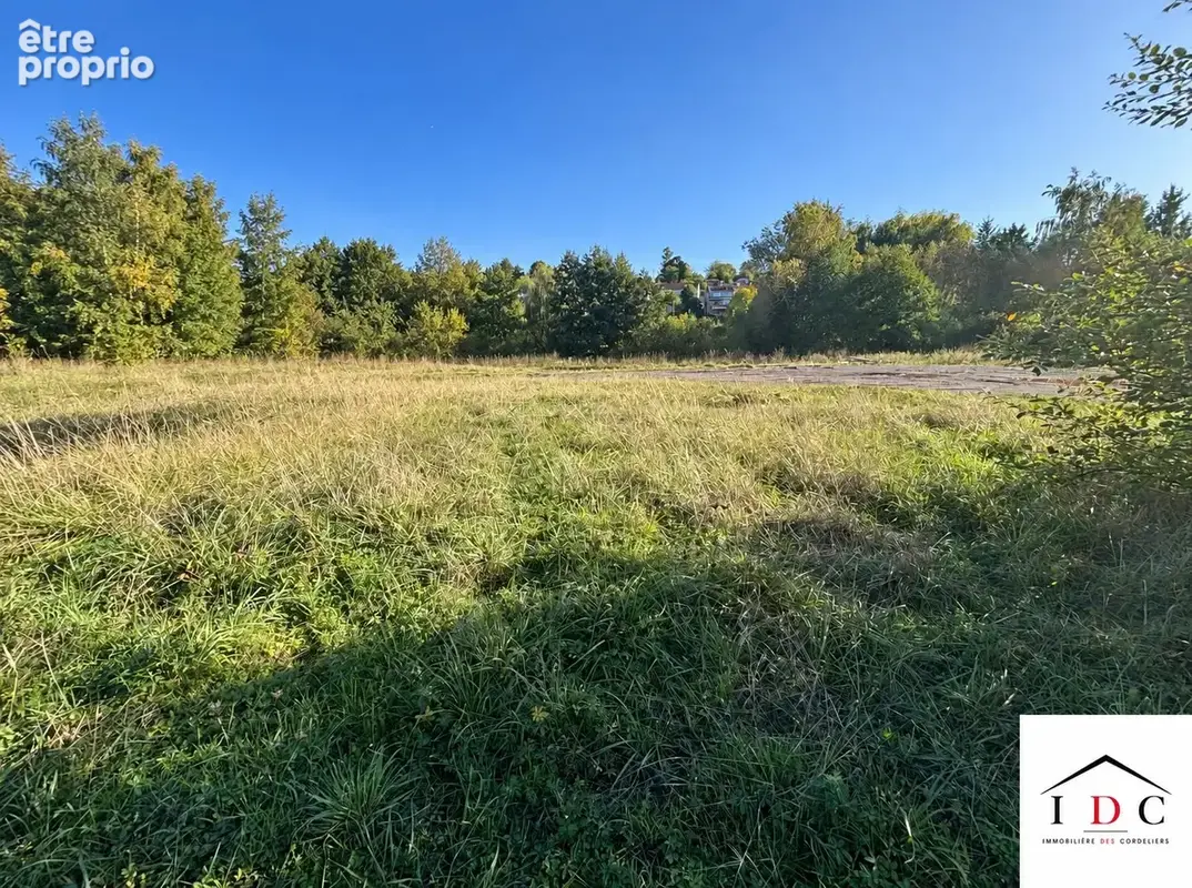 Terrain 4 100 m² à vendre à Sarrebourg (57400) - photo 3