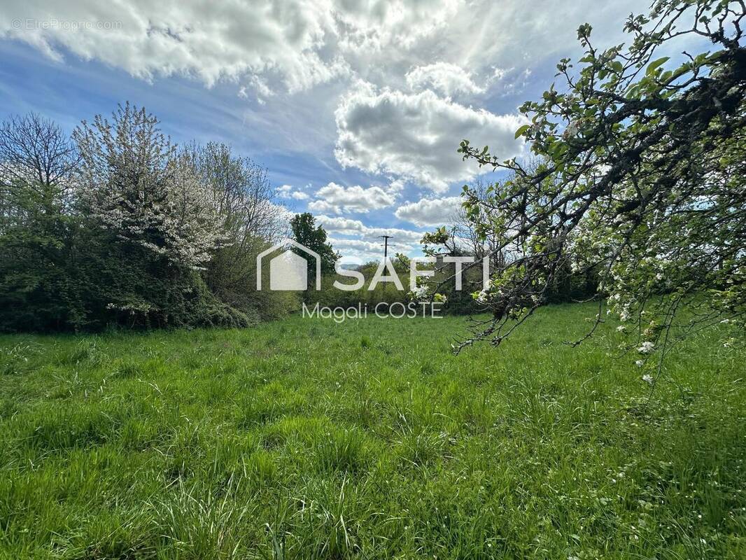 Photo 1 - Terrain à VABRE