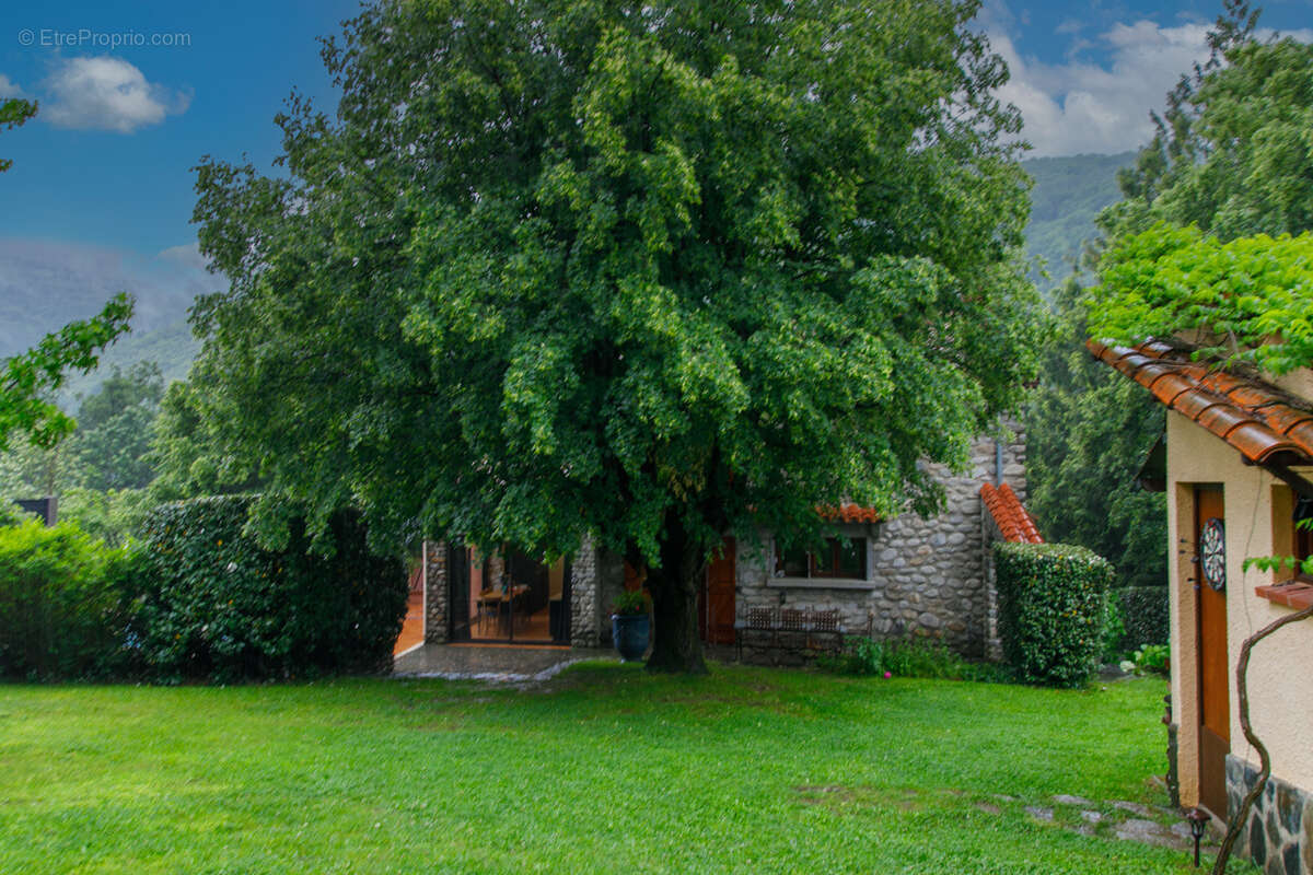 Maison à PRATS-DE-MOLLO-LA-PRESTE