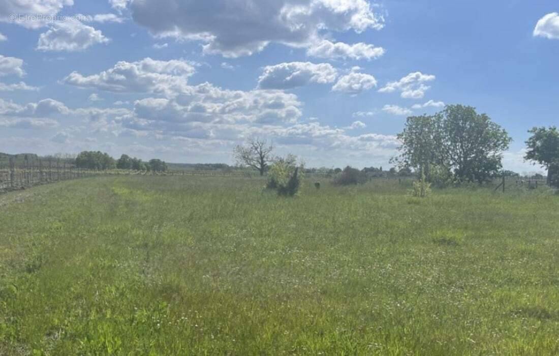 Terrain à JARNAC-CHAMPAGNE
