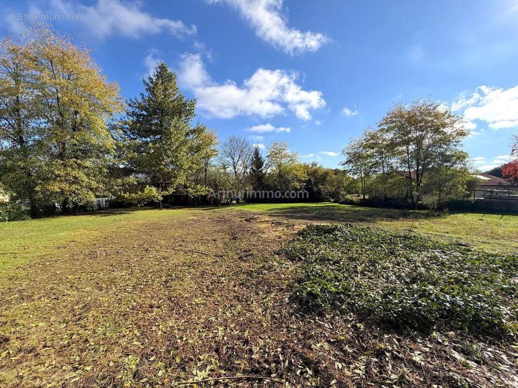 Terrain à SAINT-VICTOR-DE-MORESTEL