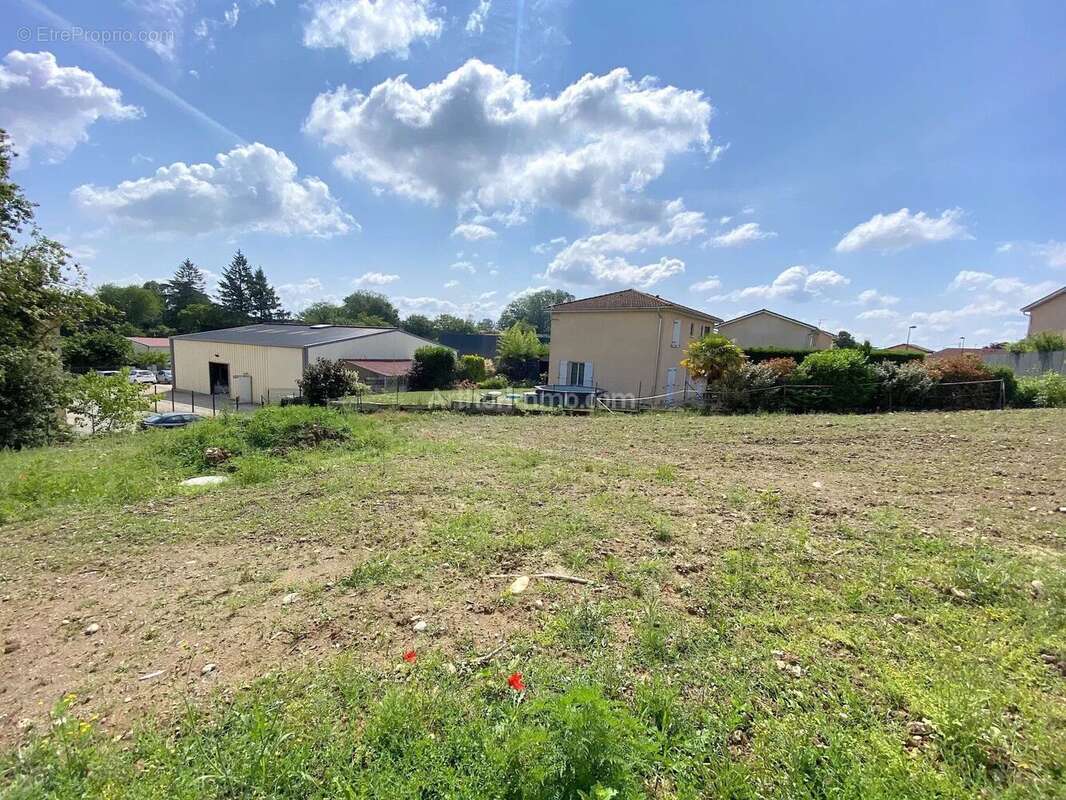 Terrain à CHALAMONT