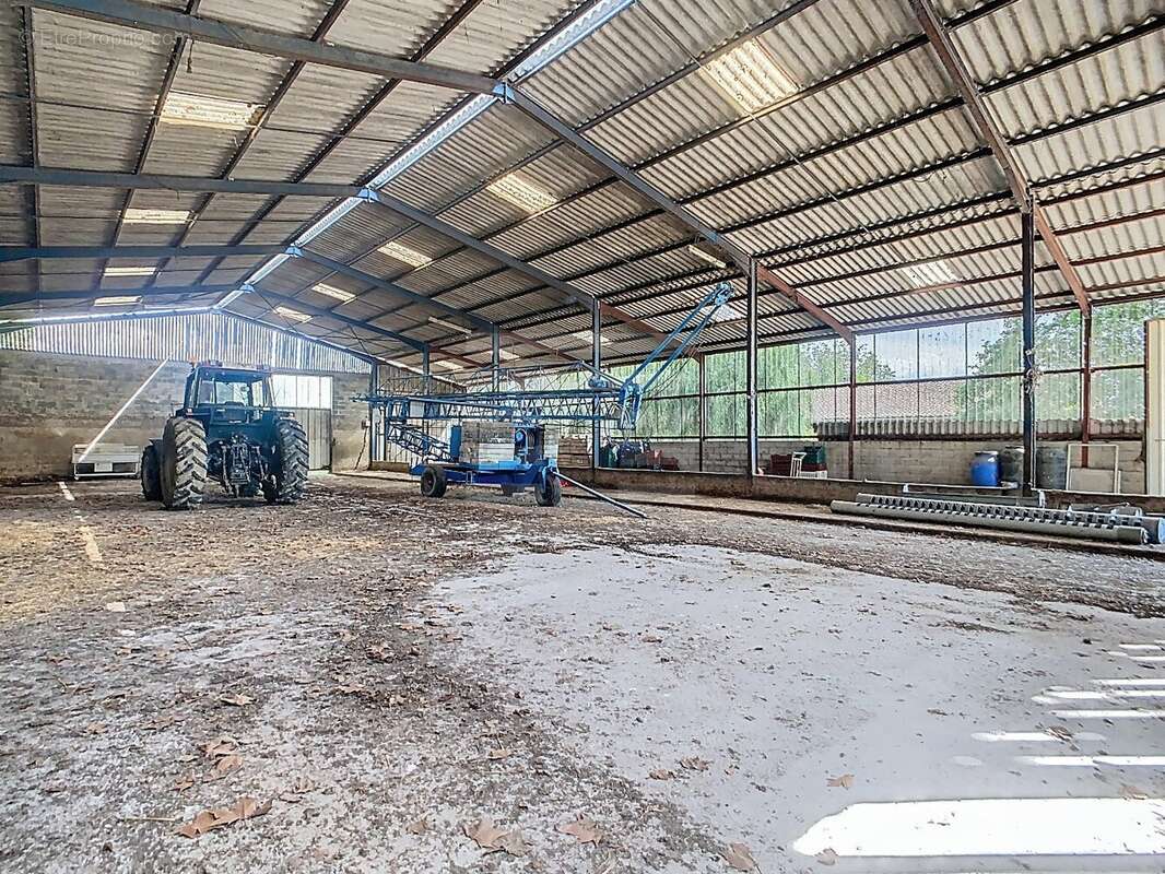 Maison à PUYLAURENS