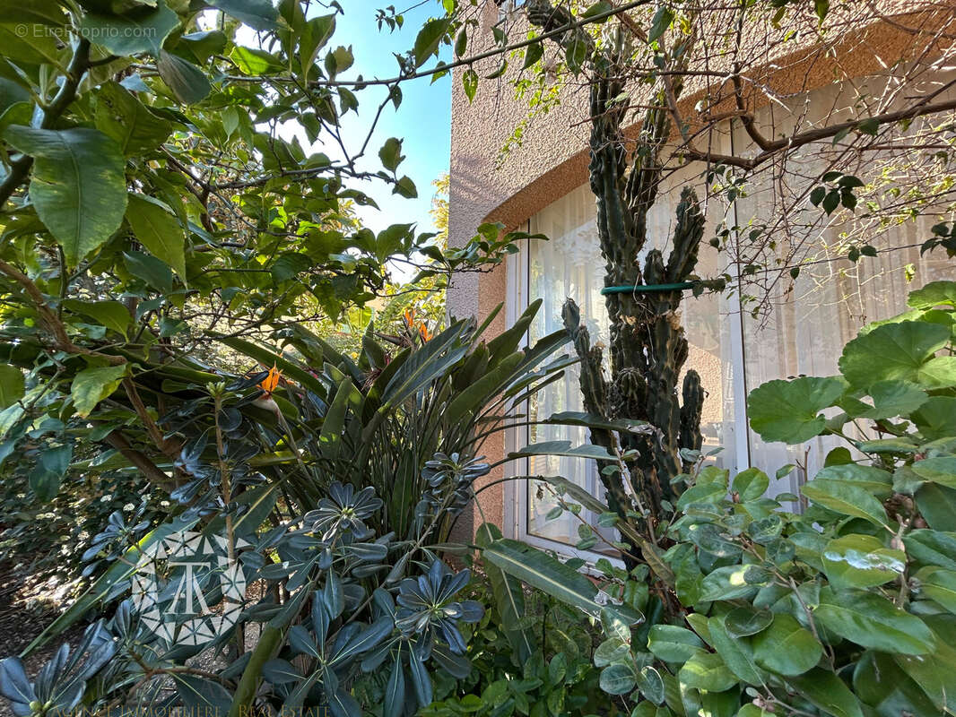 Autre à PERPIGNAN