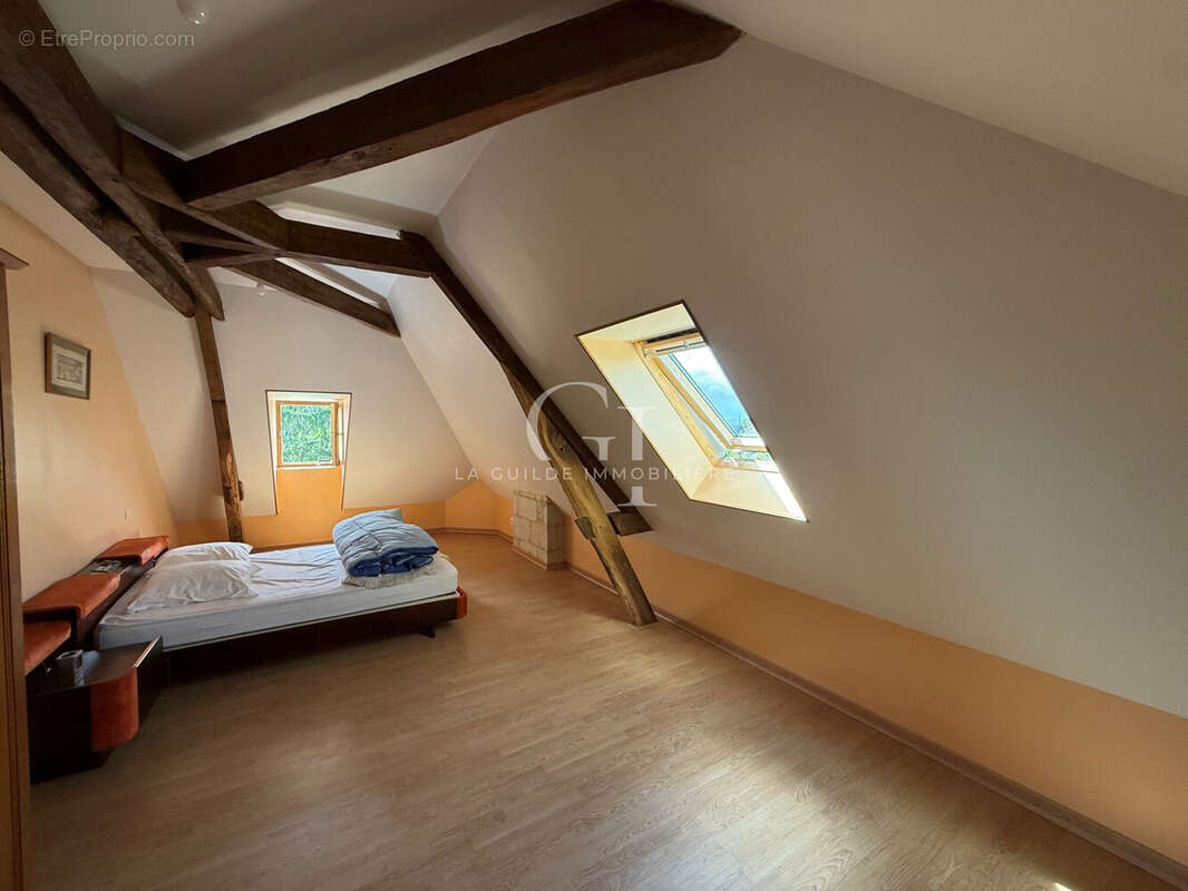 Maison 271 m² à Les Rosiers-Sur-Loire  - photo 6