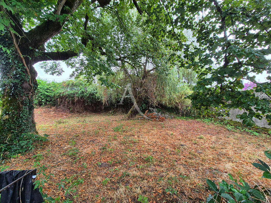 Villeneuve de  Marsan - photo 5