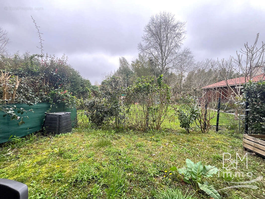 Appartement à TOSSE