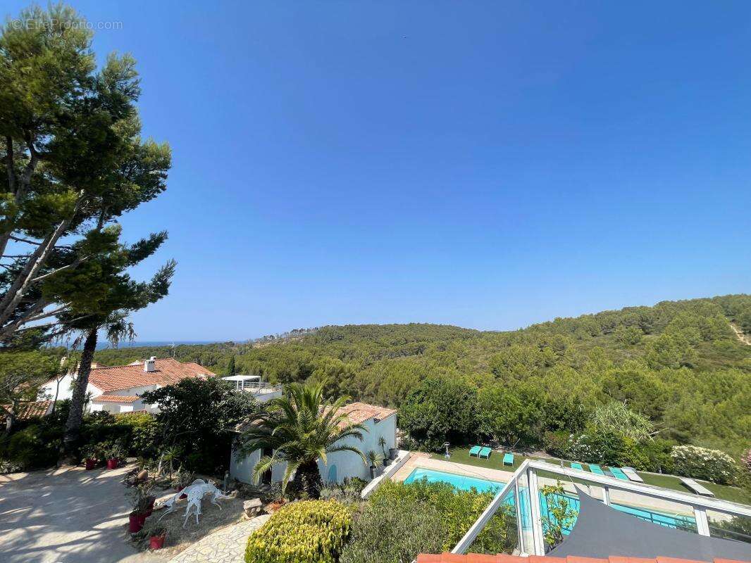 A vendre bandol 83150 villa 5 pieces 2500 m2 de terrain piscine maison d amis - photo 3