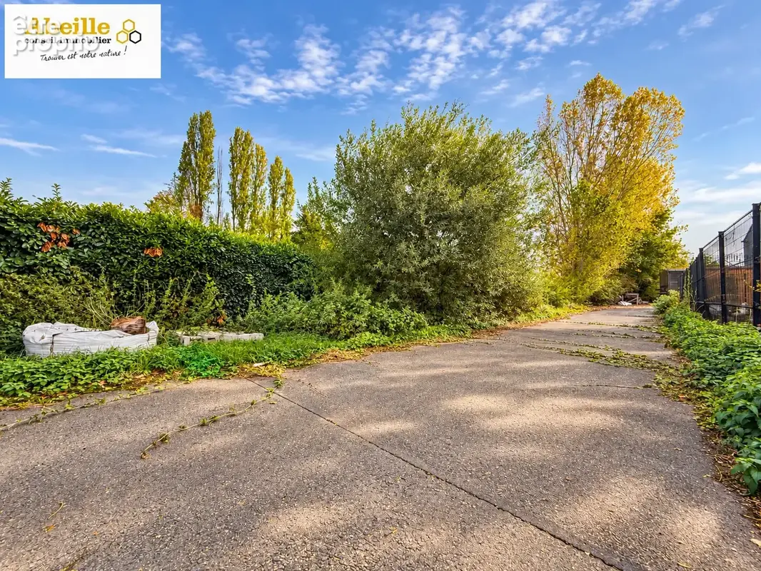 Local boissy-sous-saint-yon 600m2, 1543m2 de terrain - photo 2