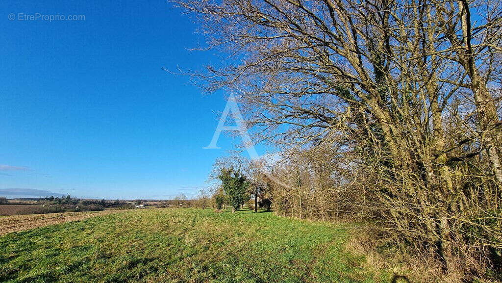 Terrain à LUCAY-LE-MALE