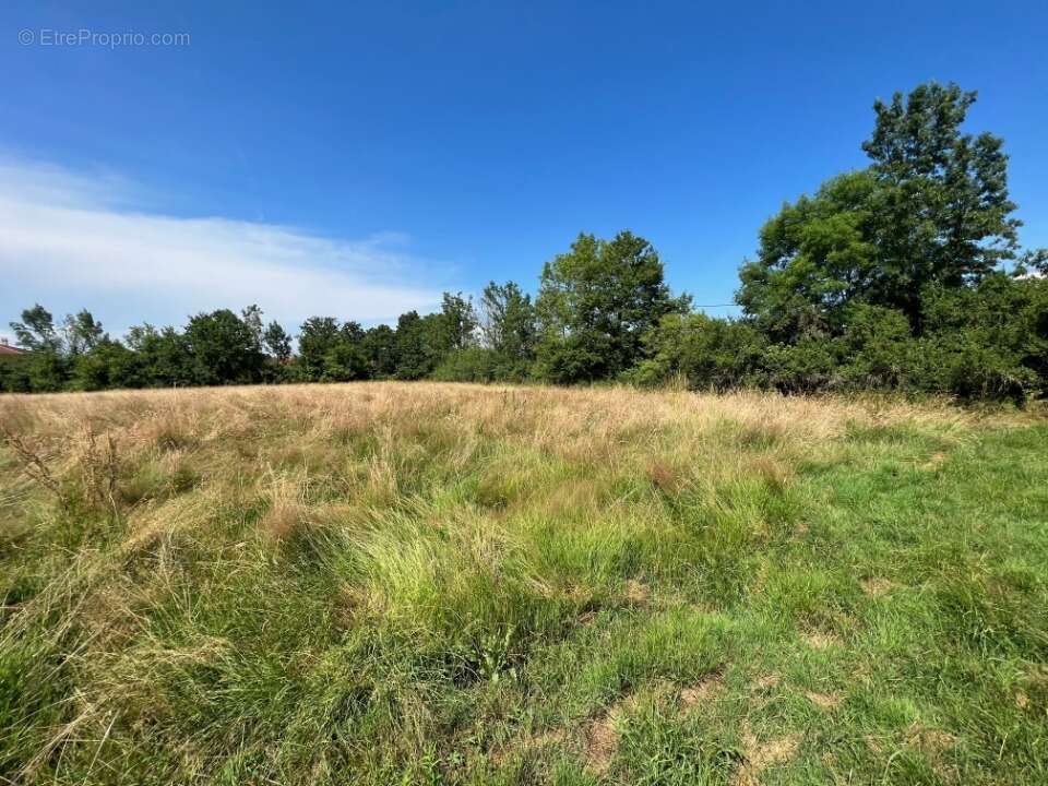 Terrain à CONFRANCON