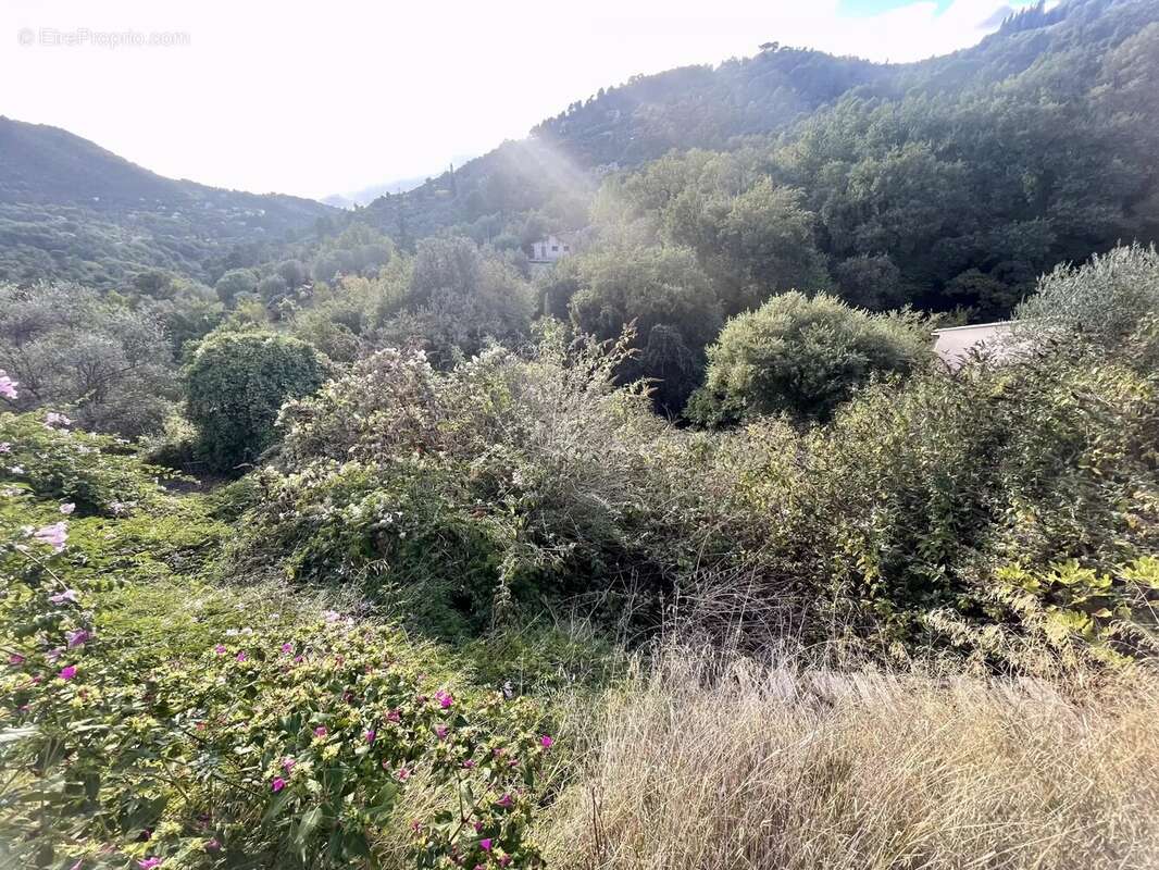 Terrain à SAINT-BLAISE