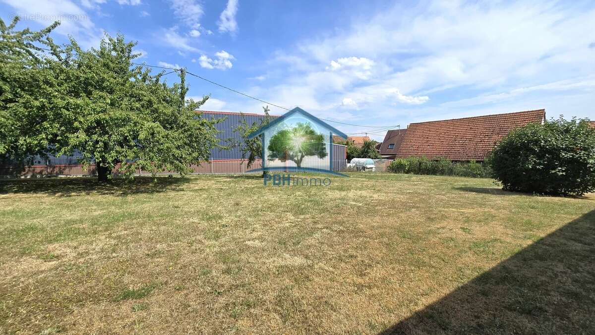 Gunstett - maison 135 m² avec dependances - photo 2