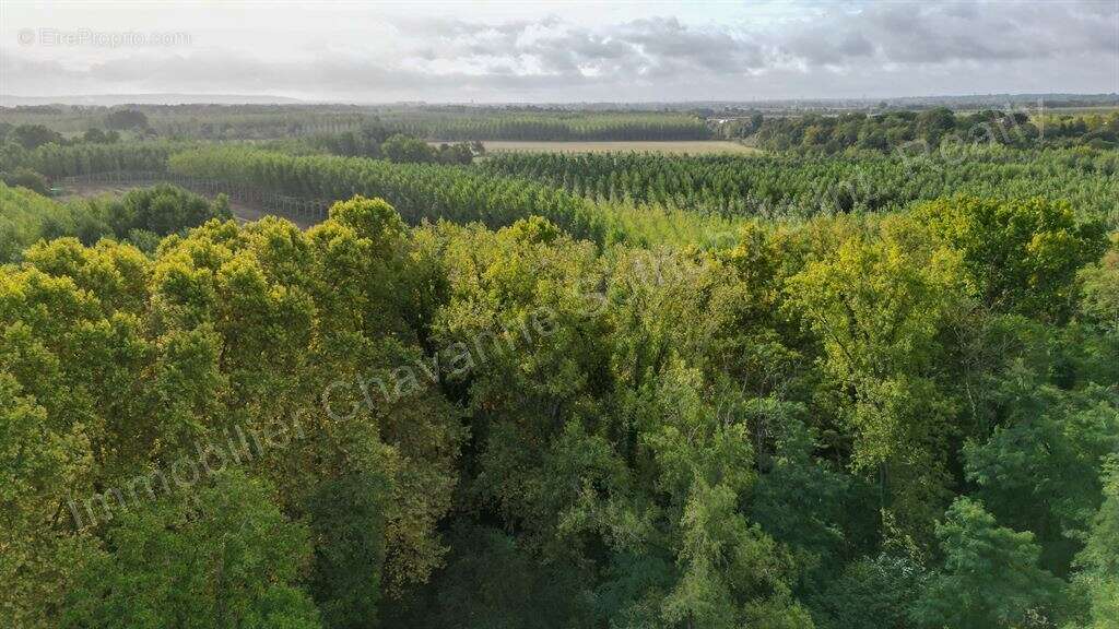 Château du XVIII, toutes commodités à pied - photo 9