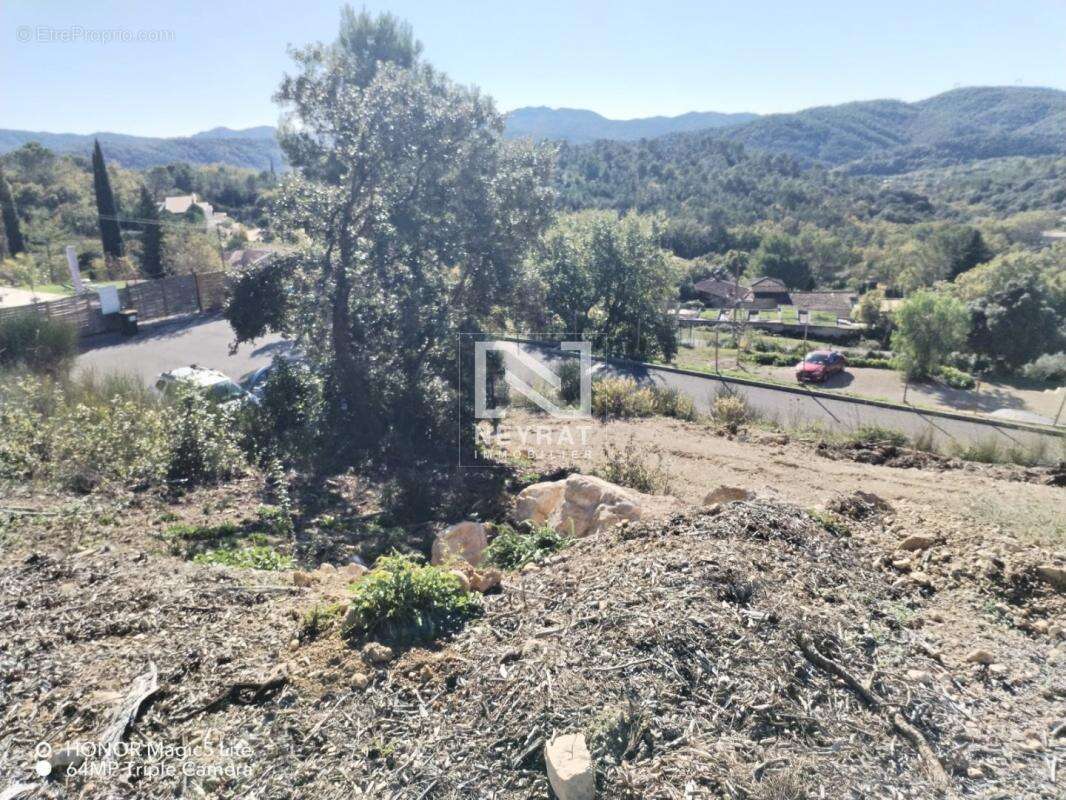 Terrain à MONTAUROUX