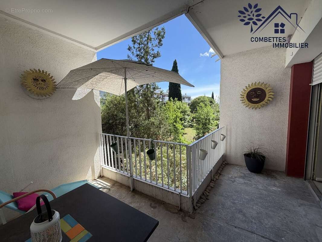 Montpellier chamberte - photo 4
