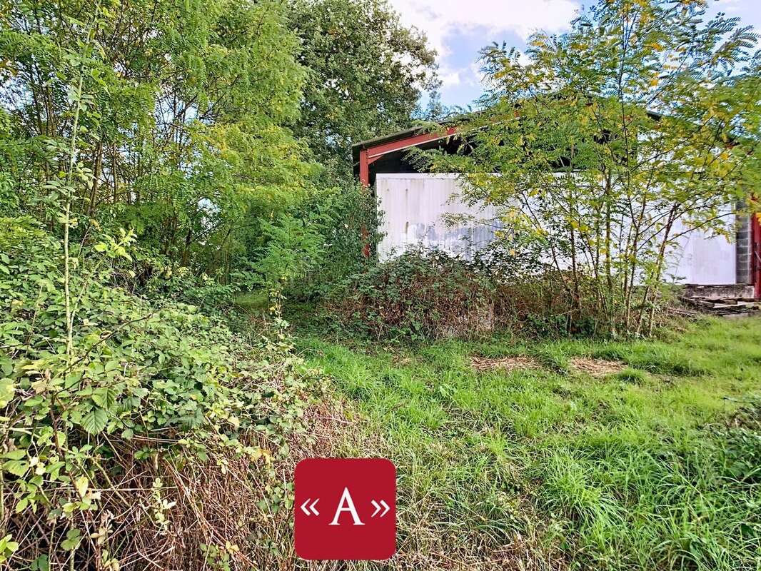 Commerce à LA MAGDELAINE-SUR-TARN