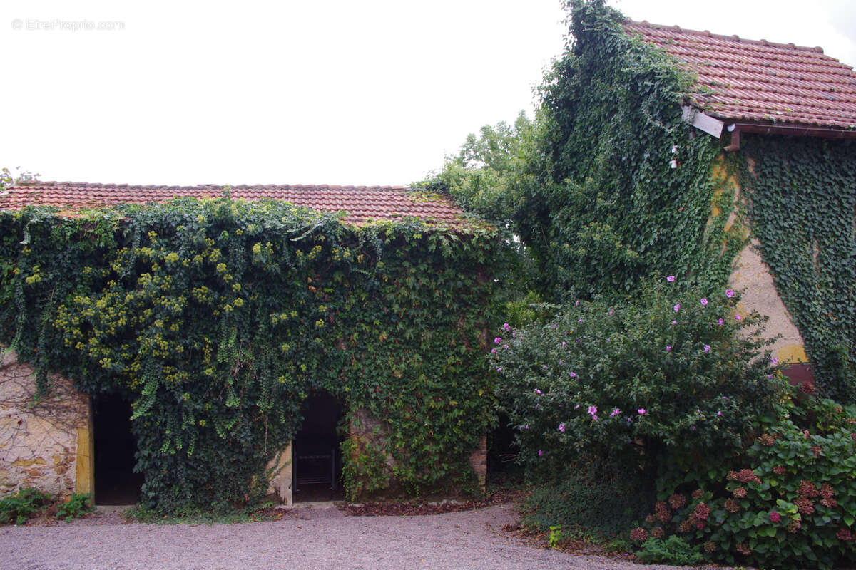 7 kms de Charlieu corps de ferme sur 5 hectares - photo 8