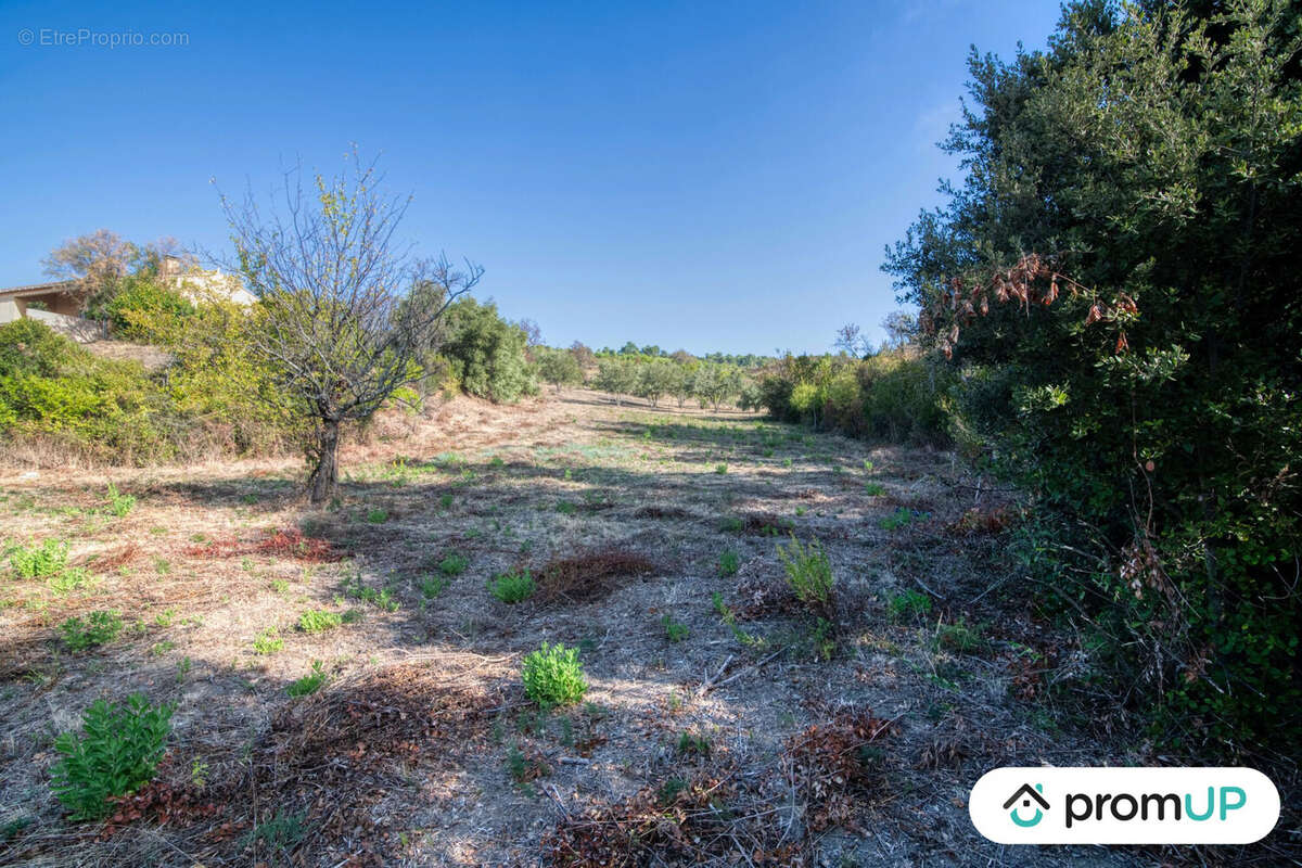 Terrain à CAUNES-MINERVOIS