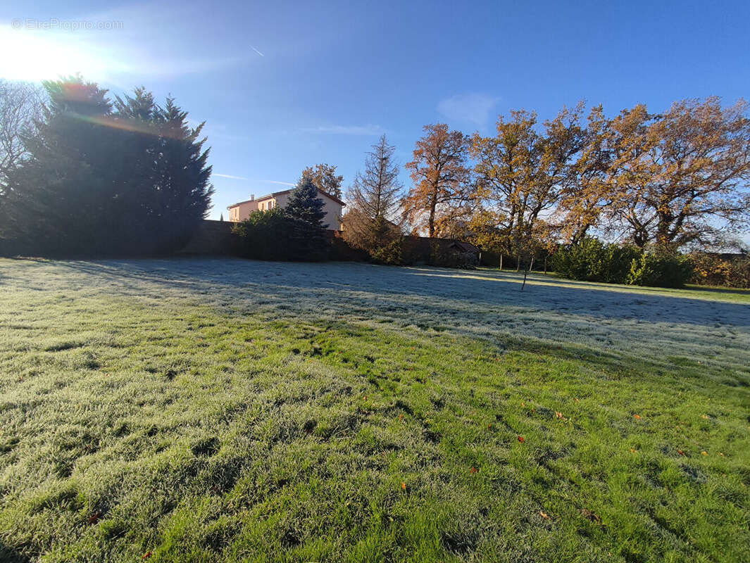 Terrain à VILLARS-LES-DOMBES
