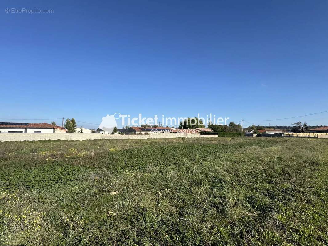 Terrain à NOE