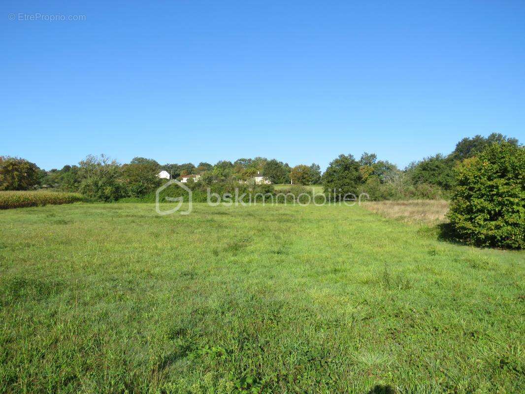 Terrain constructible de 6038 m² au calme vue dominante - photo 2