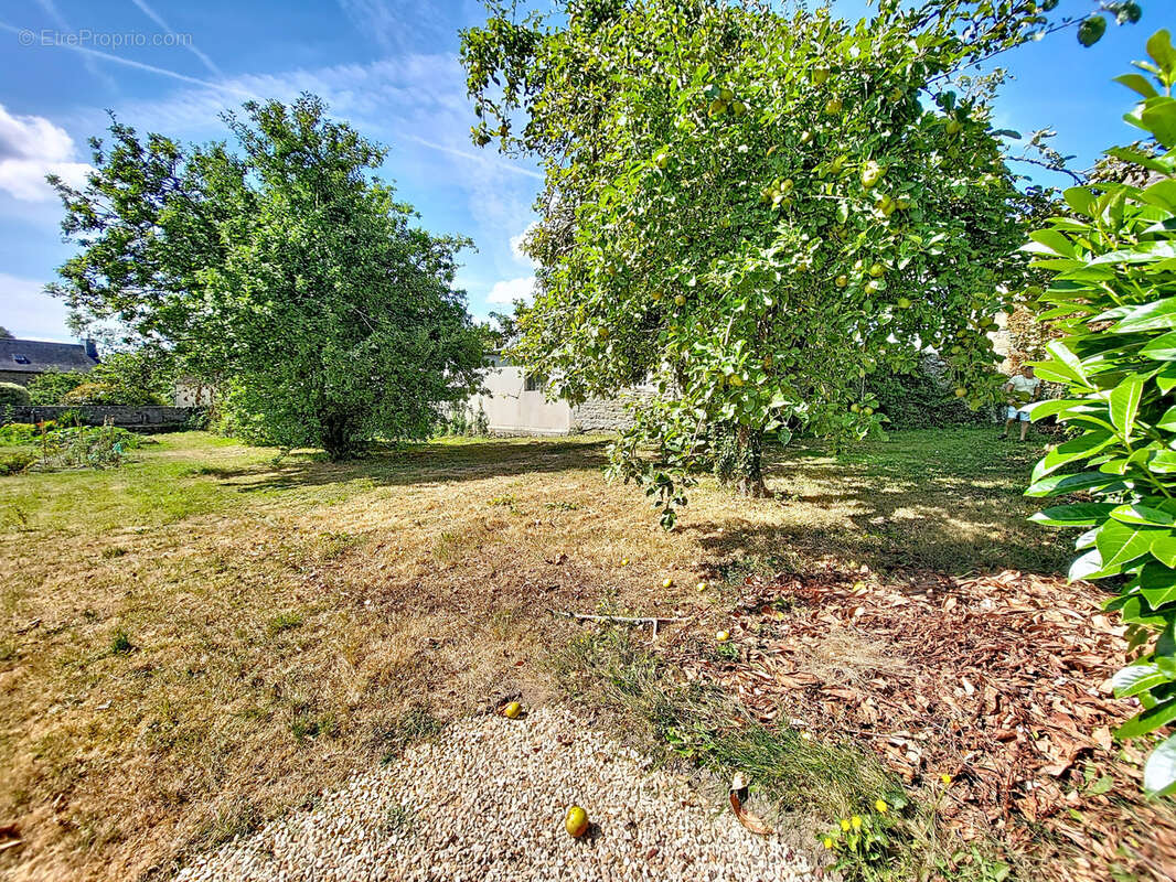 PLOUARET : Maison familiale en pierre à rénover - photo 16