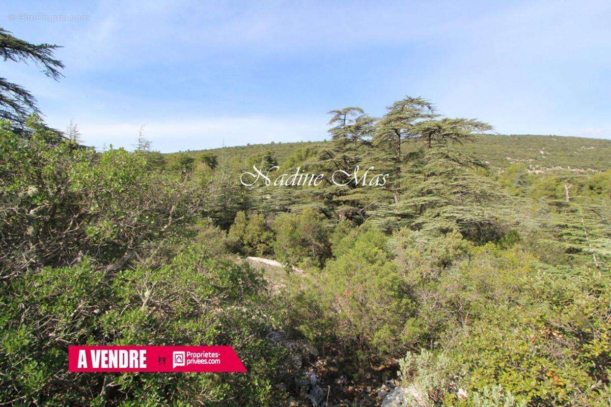 Terrain à PLAN-D'AUPS-SAINTE-BAUME