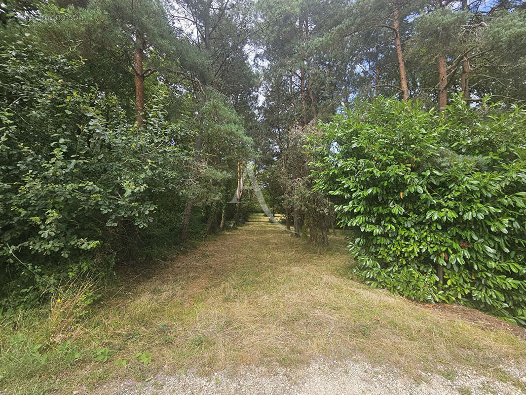 Terrain à CERE-LA-RONDE