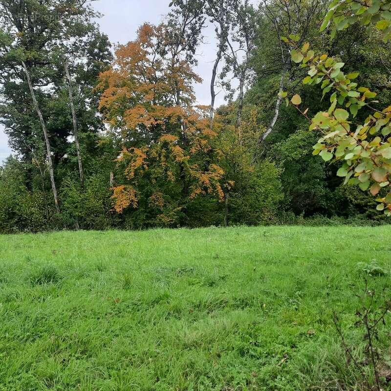 Terrain à CHATILLON-LE-DUC